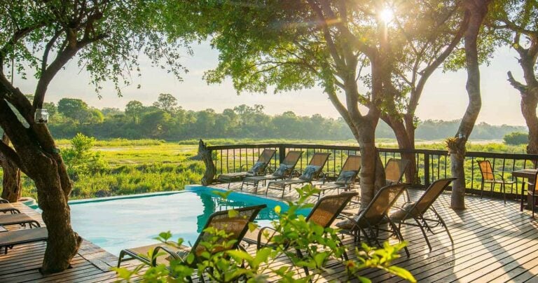 5 Day Umkumbe Safari Lodge Safari